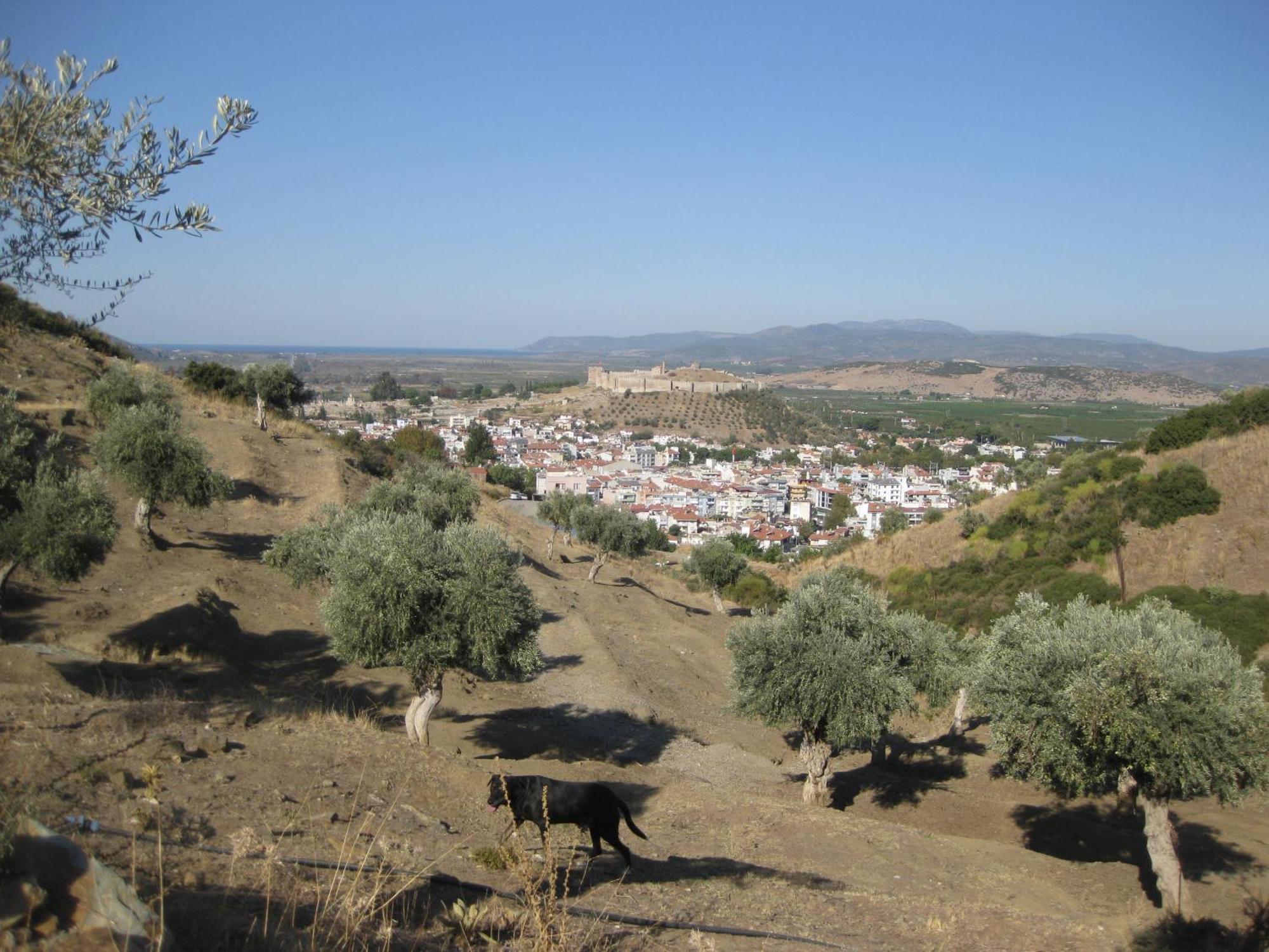 Villa Manzara Selçuk Kültér fotó